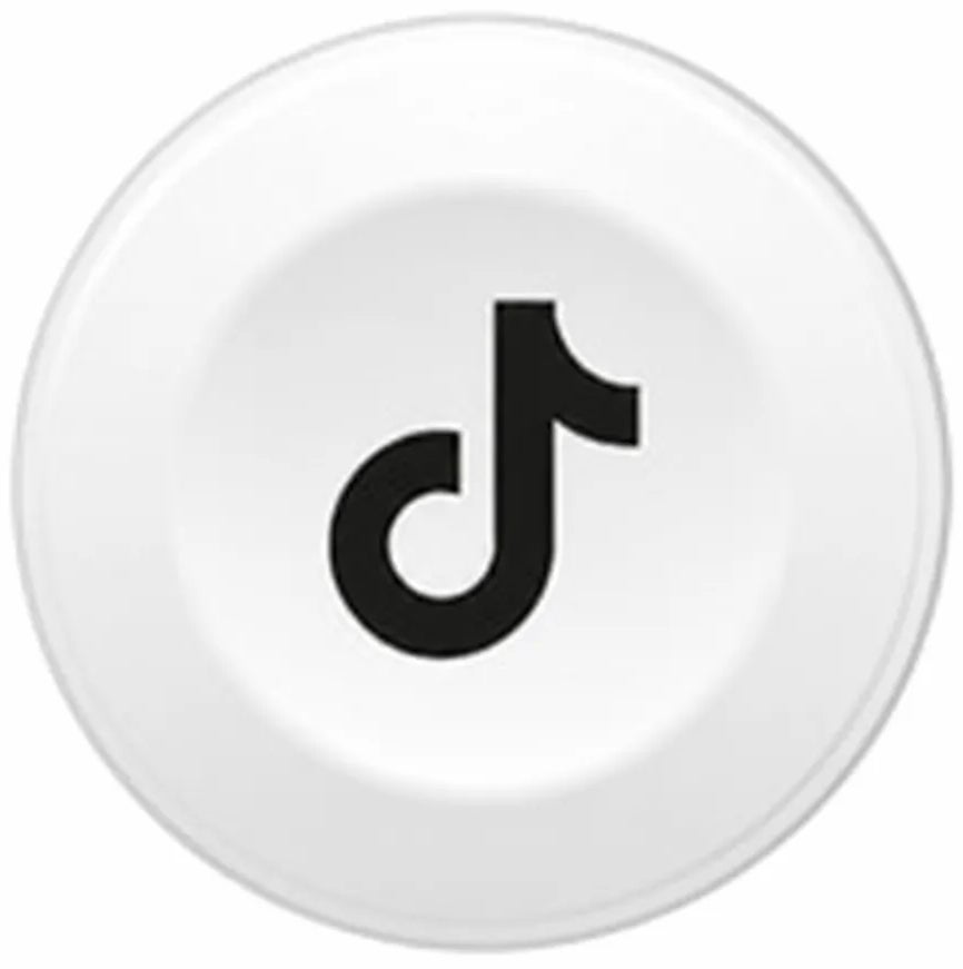 TikTok Icon image